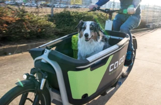 Hund sitzt in der Box des FS Life.